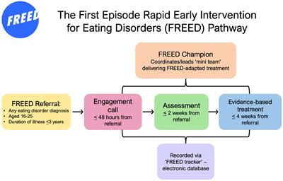 “FREED instils a bit of hope in the eating disorder community… that things can change.”: an investigation of clinician views on implementation facilitators and challenges from the rapid scaling of the First Episode Rapid Early Intervention for Eating Disorders programme